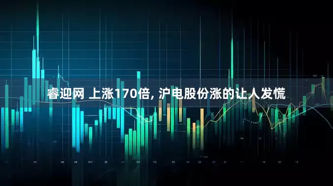 睿迎网 上涨170倍, 沪电股份涨的让人发慌