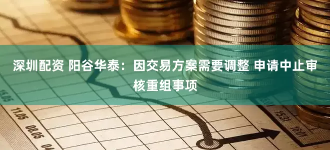 深圳配资 阳谷华泰：因交易方案需要调整 申请中止审核重组事项